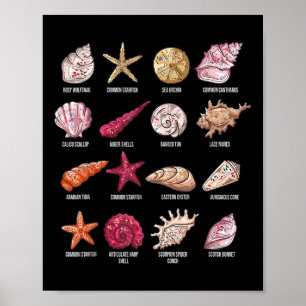 Muscheln Strandschächte, Muschel des Conchers Poster