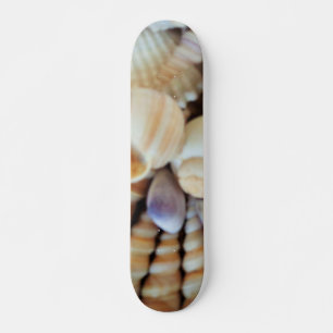 Muscheln Summer Beach Exotic Tropical Skateboard