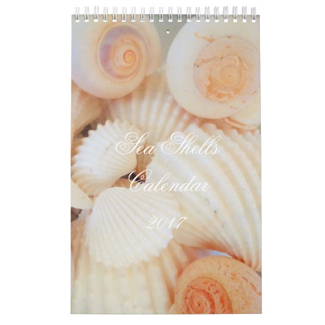 Muscheln tragen 2017 exotische tropische kalender (Titelbild)