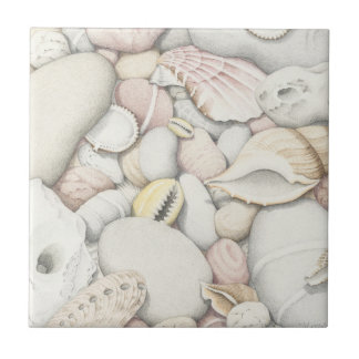 Muscheln und Kiesel in farbiger Bleistift-Fliese Fliese