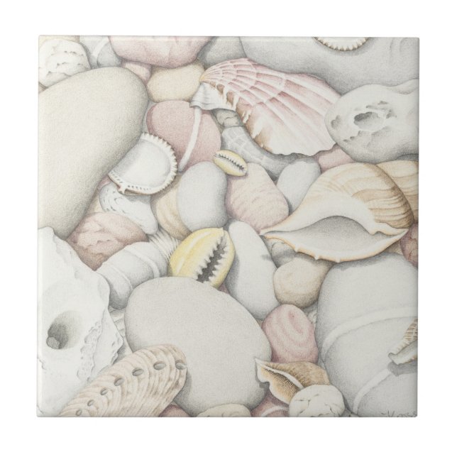 Muscheln und Kiesel in farbiger Bleistift-Fliese Fliese (Vorderseite)