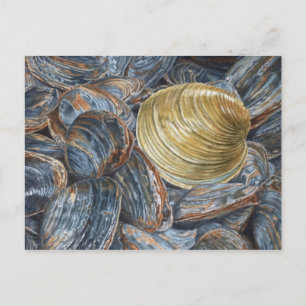 Muscheln und Quahog-Kunstpostkarte Postkarte