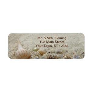 Muscheln und Sandküste am Strand