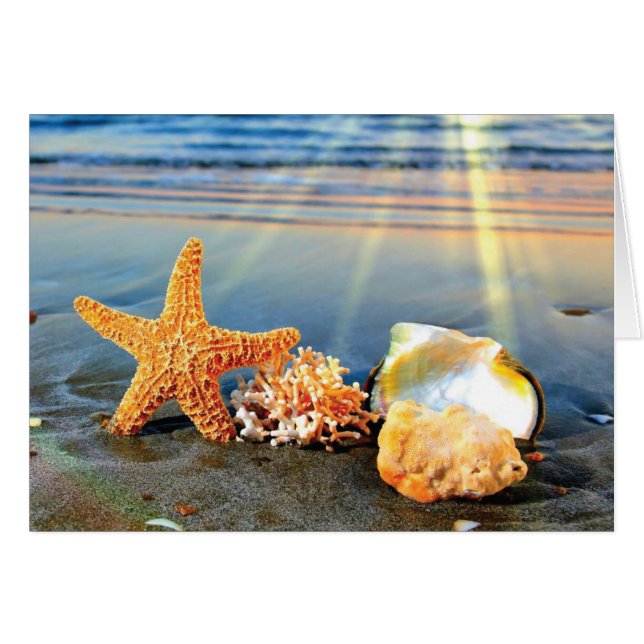 Muscheln und Seestern am Strand (Vorderseite (Horizontal))