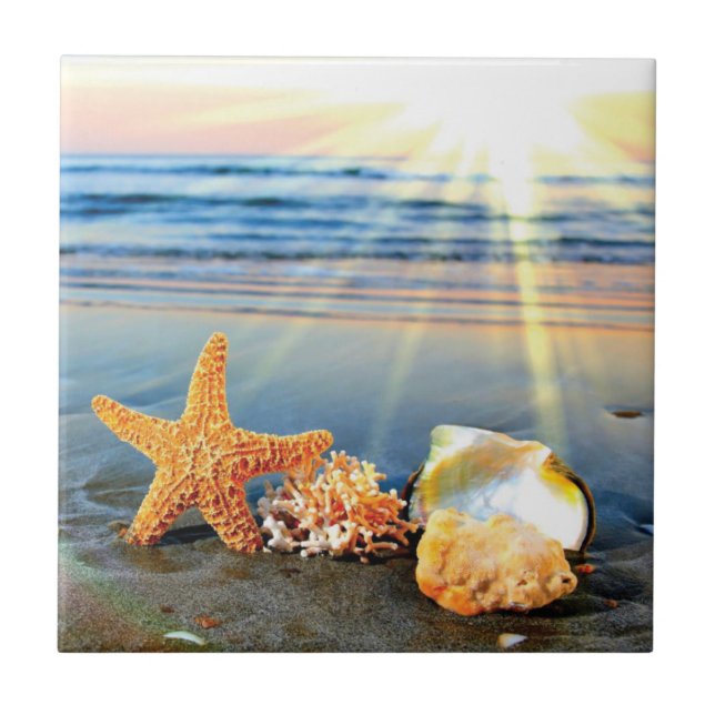 Muscheln und Seestern am Strand Fliese (Vorderseite)