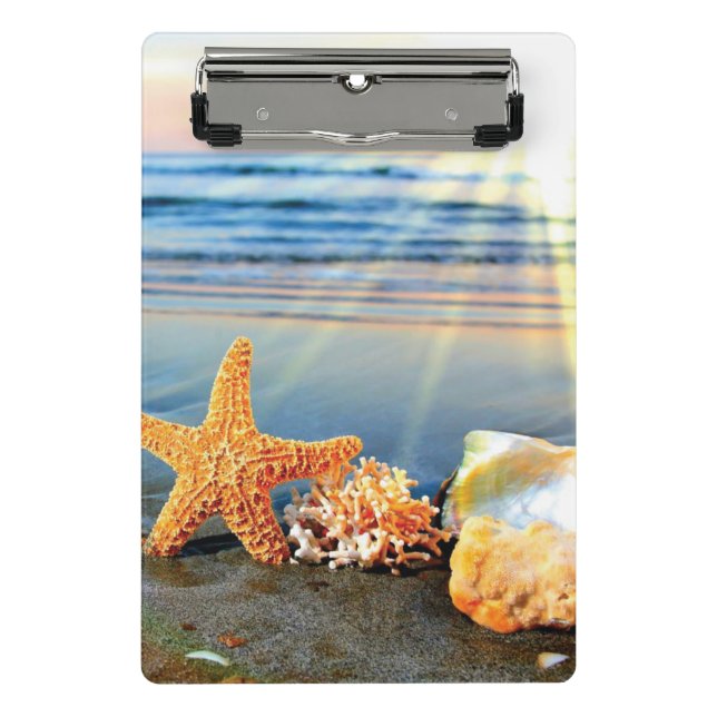 Muscheln und Seestern am Strand Mini Klemmbrett (Vorderseite)