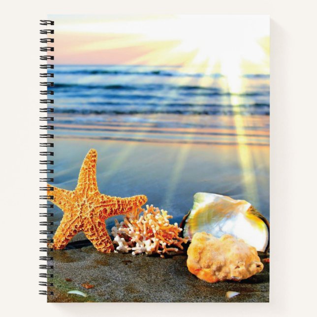 Muscheln und Seestern am Strand Notizbuch (Vorderseite)