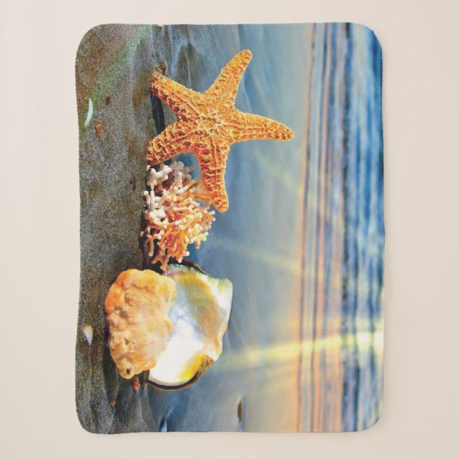 Muscheln und Seestern am Strand Sherpadecke (Vorderseite)