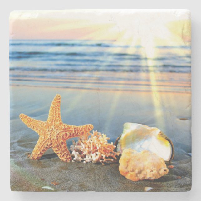 Muscheln und Seestern am Strand Steinuntersetzer (Vorderseite)