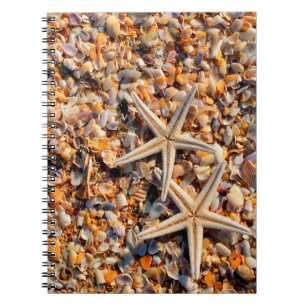 Muscheln und Starfish Notizblock