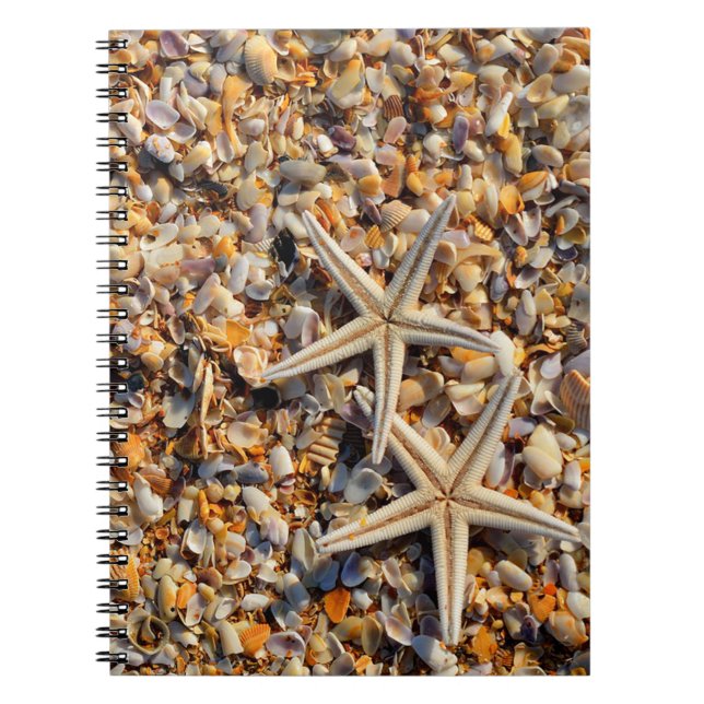 Muscheln und Starfish Notizblock (Vorderseite)
