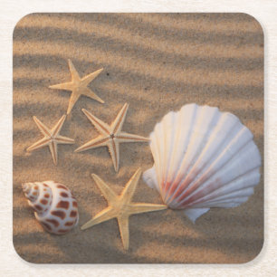 Muscheln und Starfish Rechteckiger Pappuntersetzer