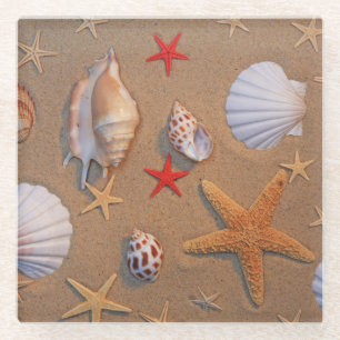 Muscheln und Starfish vereinbart auf Sand Glasuntersetzer