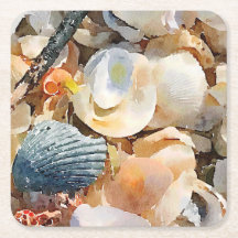 Muscheln und Treibholz am Strand