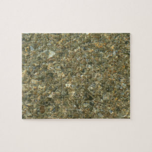 Muscheln unter Wasser