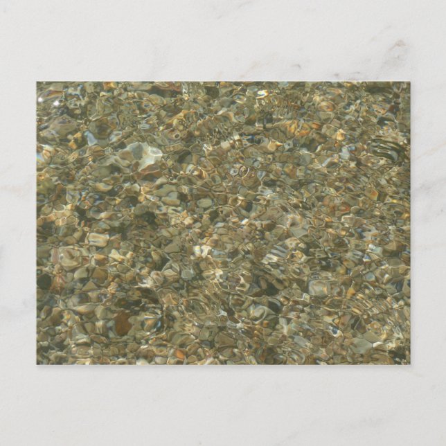 Muscheln unter Wasser Postkarte (Vorderseite)