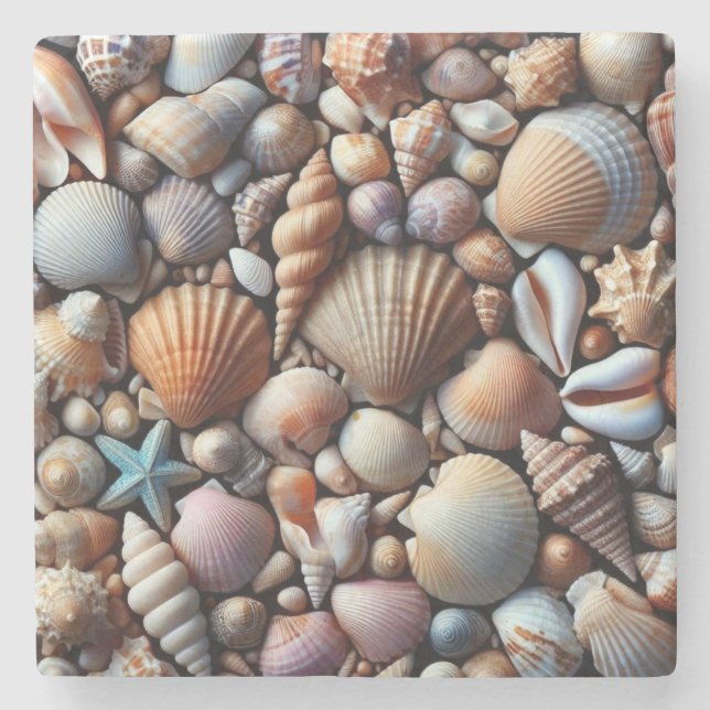 Muscheln Untersetzer (Vorderseite)
