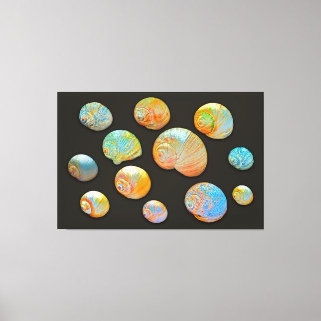 MUSCHELN von NEPTUNE 40x60 Leinwanddruck (Vorderseite)