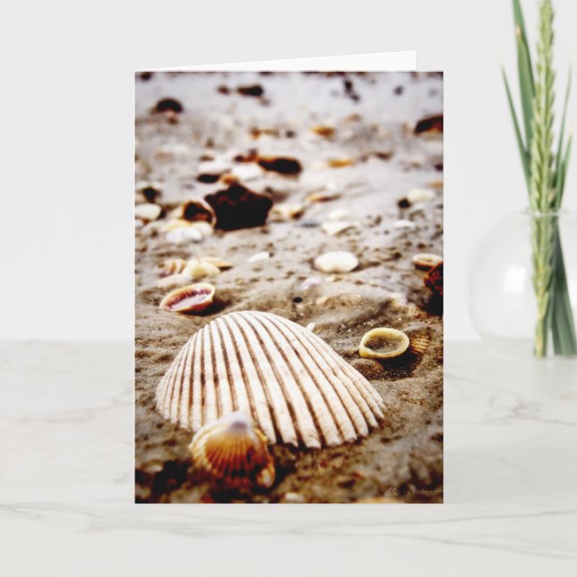 Muscheln zur Krabi Beach Card Karte (Vorderseite)