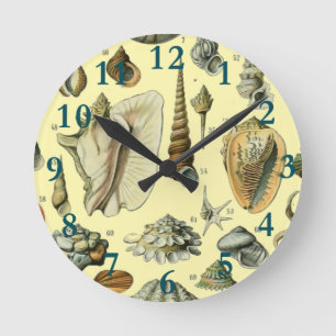 Muschelschale Molluske Klaffmuschel Elegante Klass Runde Wanduhr