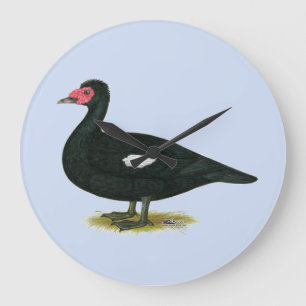 Muscovy Black Drake Große Wanduhr