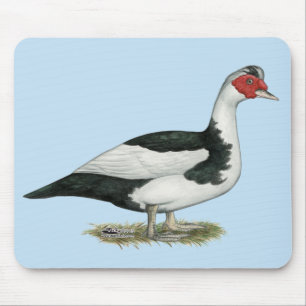 Muscovy Black Pied Drake Mousepad