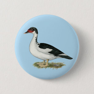 Muscovy Black Pied Duck Button