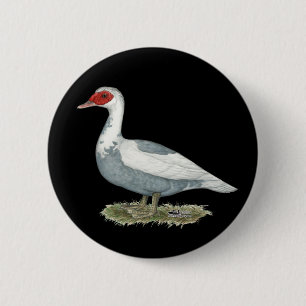 Muscovy Blue Pied Duck Button