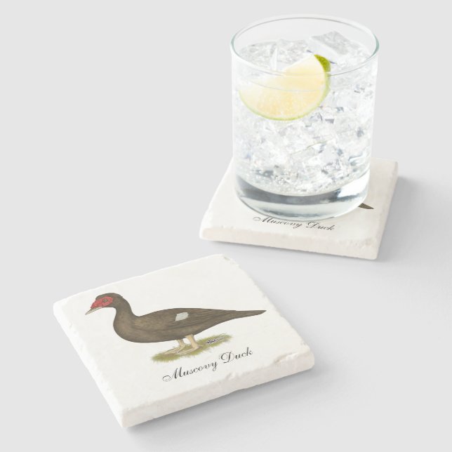 Muscovy Duck Chocolate Steinuntersetzer (Seitenansicht)