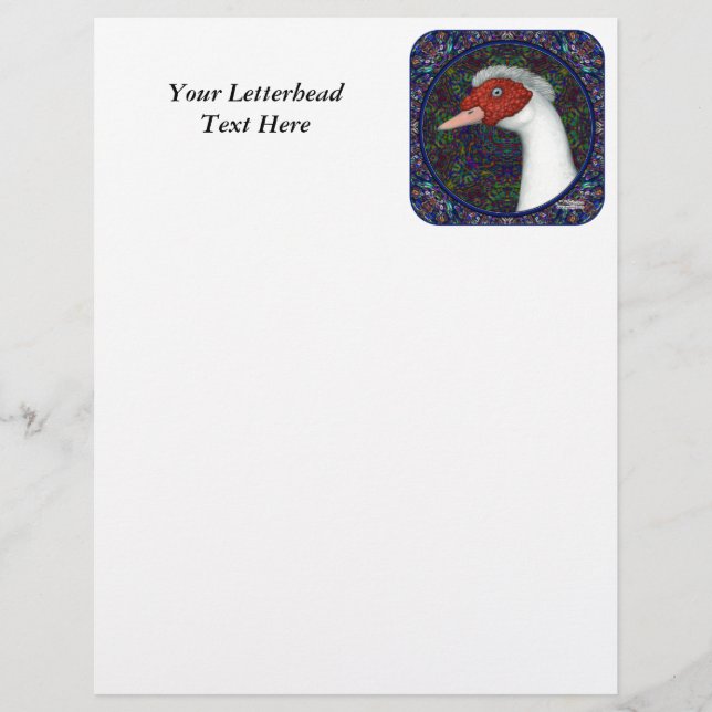 Muscovy Duck Head White (Vorderseite)