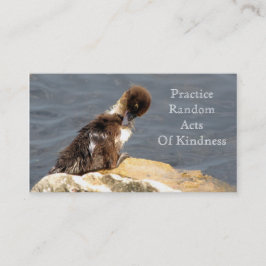 Muscovy Duckling - RAOK Cards (Größe der Visitenka Visitenkarte