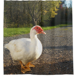 Muscovy-Ente Drake Duschvorhang