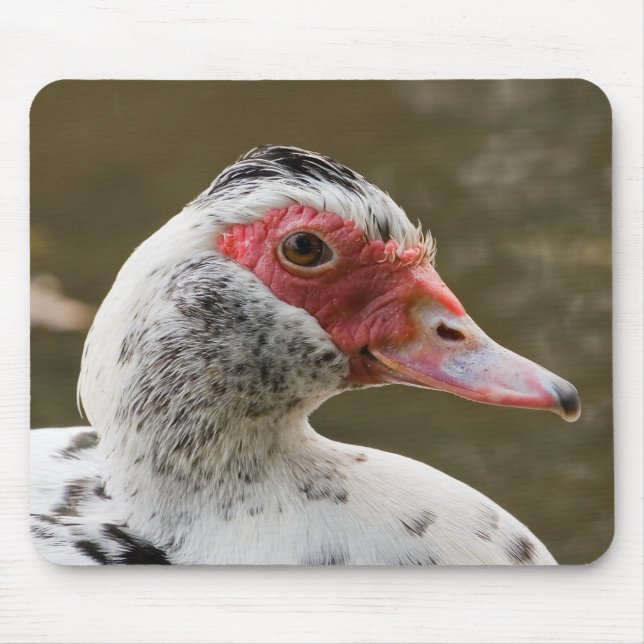 Muscovy-Ente Mousepad (Vorne)