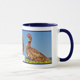 Muscovy-Ente Tasse