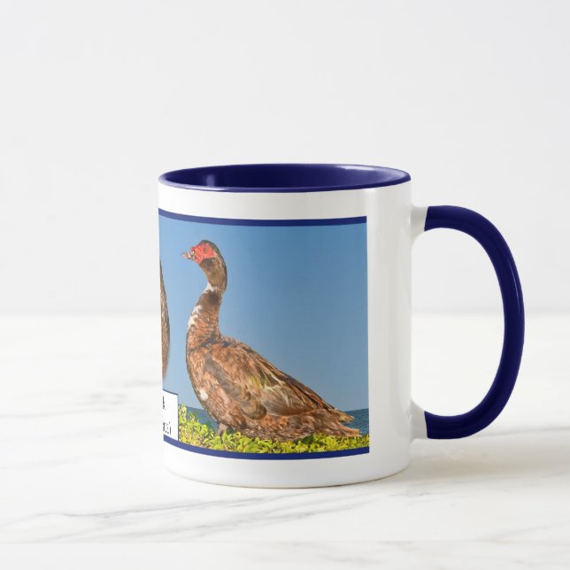Muscovy-Ente Tasse (Rechts)
