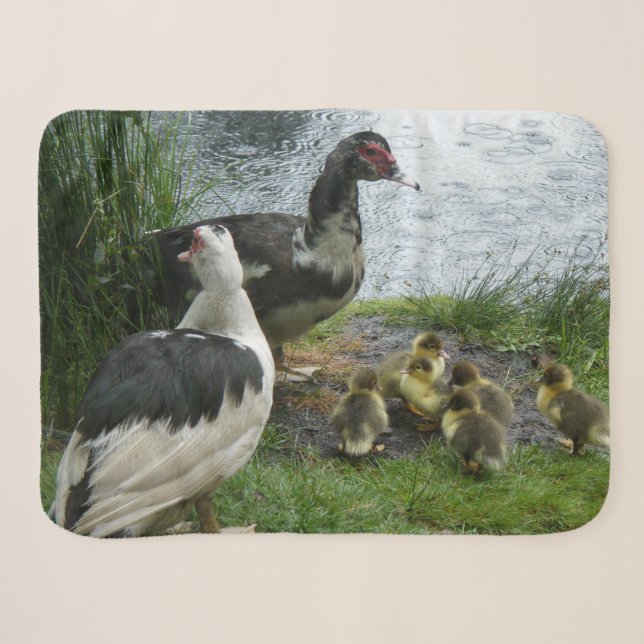 Muscovy-Enten-Familie Sherpadecke (Vorderseite (Horizontal))
