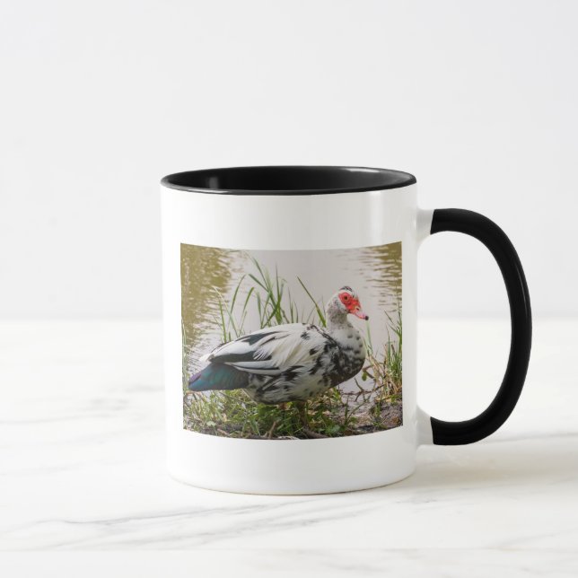 Muscovy-Enten-Tasse Tasse (Rechts)