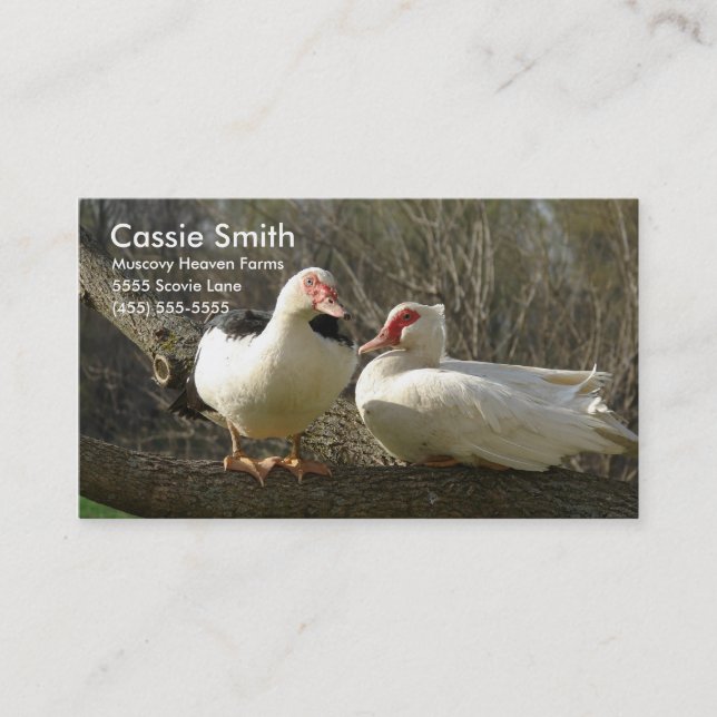 Muscovy Heaven Farms Visitenkarte (Vorderseite)