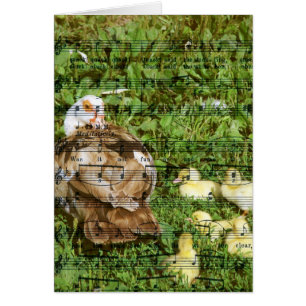 Muscovy Hen et canettes avec chansons de canard