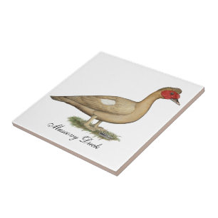 Muscovy Light Chocolate Drake Fliese