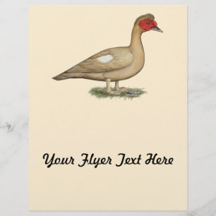 Muscovy Light Chocolate Drake Flyer