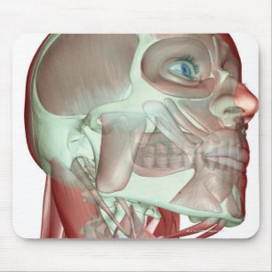Musculoskeleton des Kopfes und des Halses 3 Mousepad