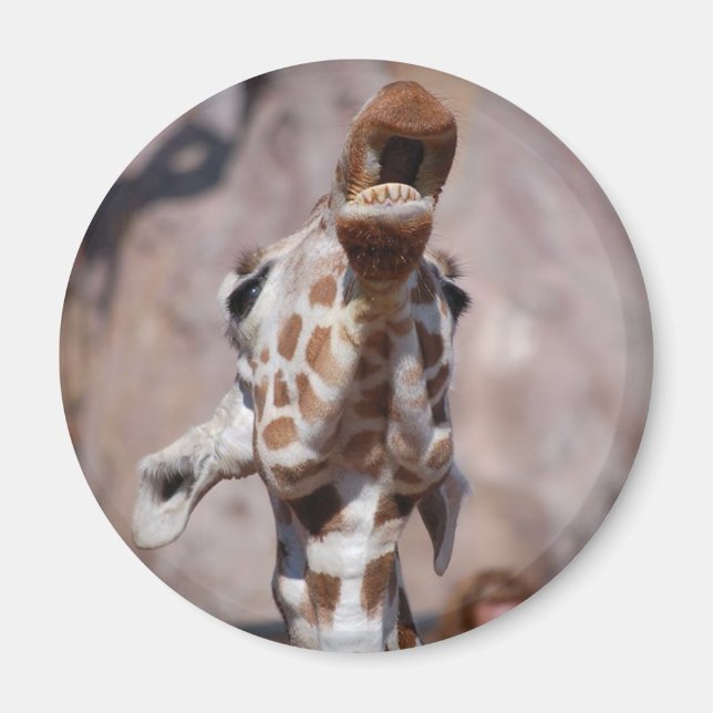 Muse Magnet #1 (Vorne)