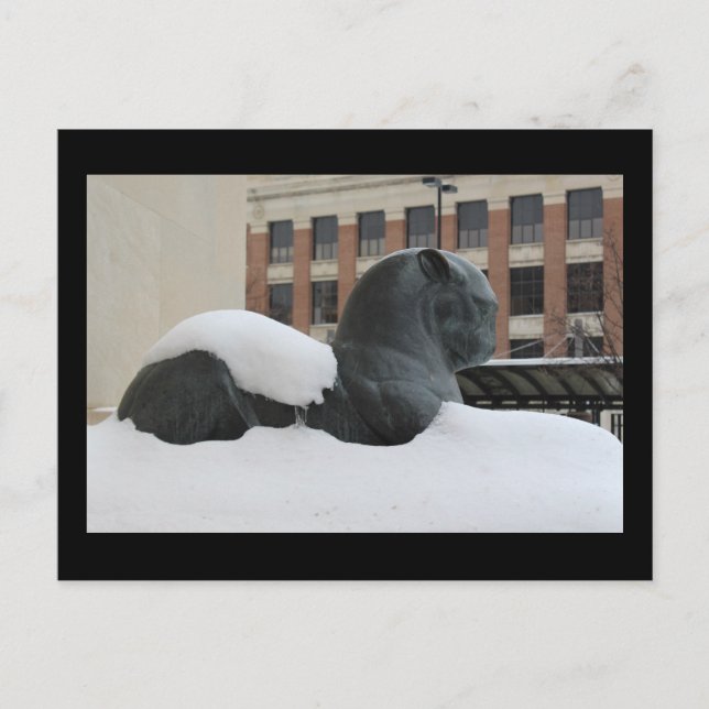 Musée d'Histoire Naturelle, Ann Arbor, carte posta (Devant)