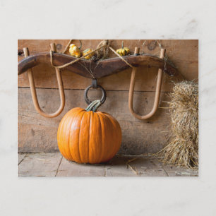 Museum für Bauern. Kürbis in Scheune mit Heu Postkarte