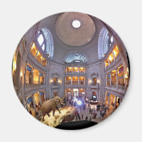 Museum für Naturgeschichte
