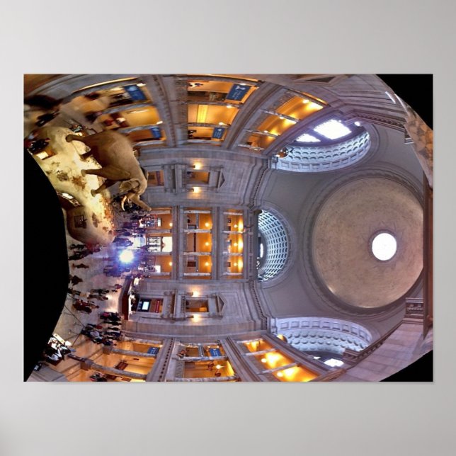 Museum für Naturgeschichte Poster (Vorne)