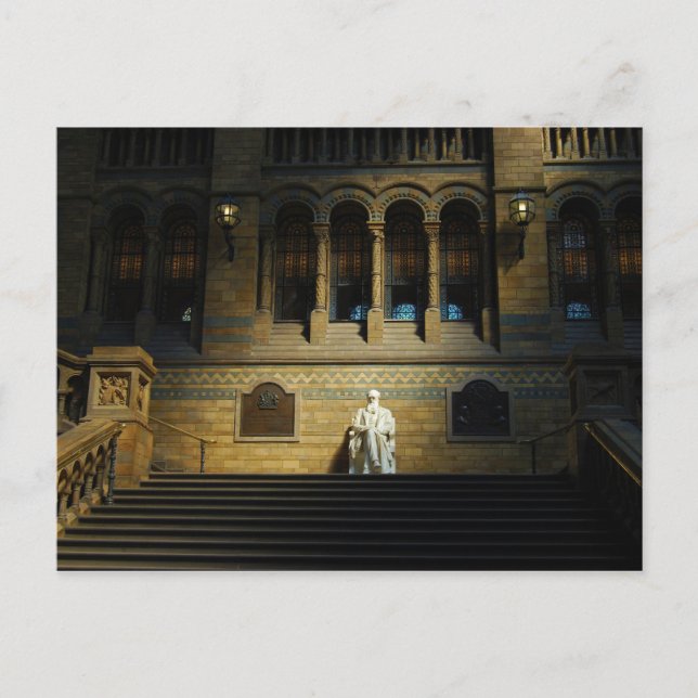 Museum für Naturgeschichte Postkarte (Vorderseite)