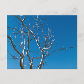 Museum Saint-Louis Postkarte