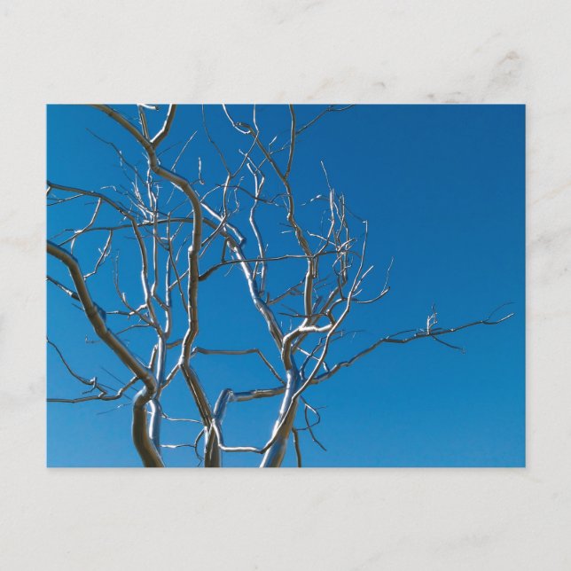 Museum Saint-Louis Postkarte (Vorderseite)